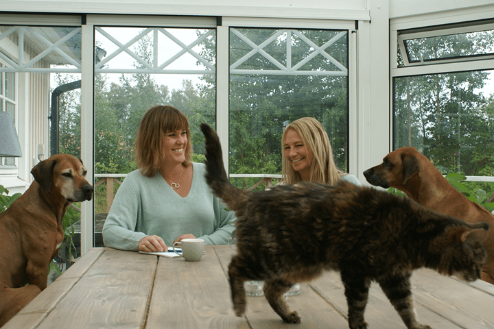 moosed wanted of sweden